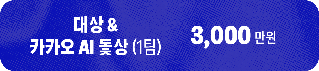 대상 & 카카오 AI 돛상 (1팀) 3,000만원